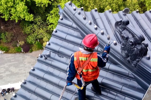 Curățenie la înălțime